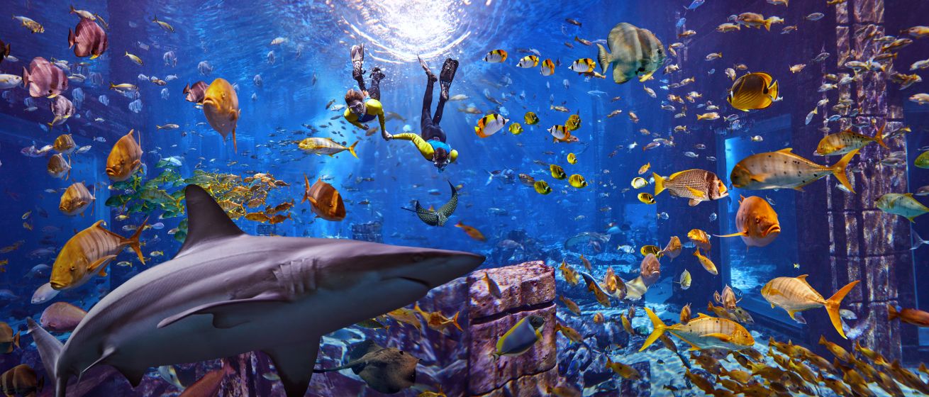 Atlantis, Aquarium Scuba Dive