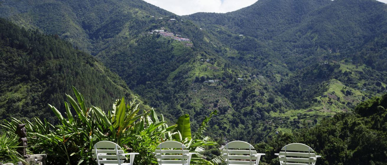 Strawberry Hill_Garden