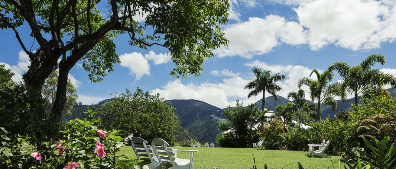 Strawberry Hill_Lawn