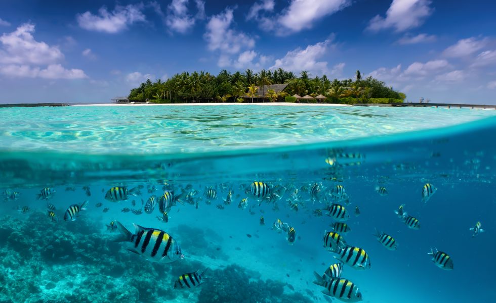 Ocean View, Maldives