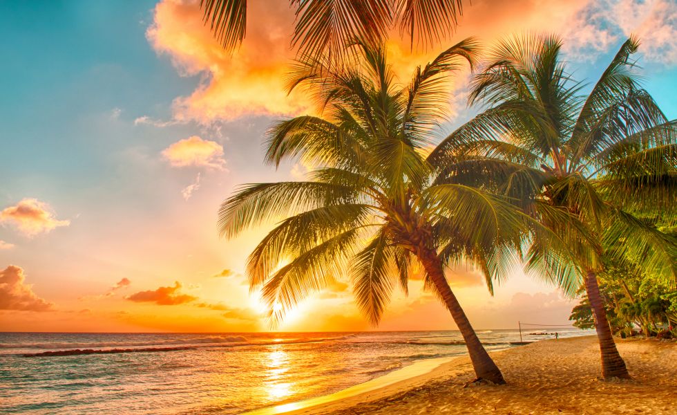 Beach Sunset, Barbados 