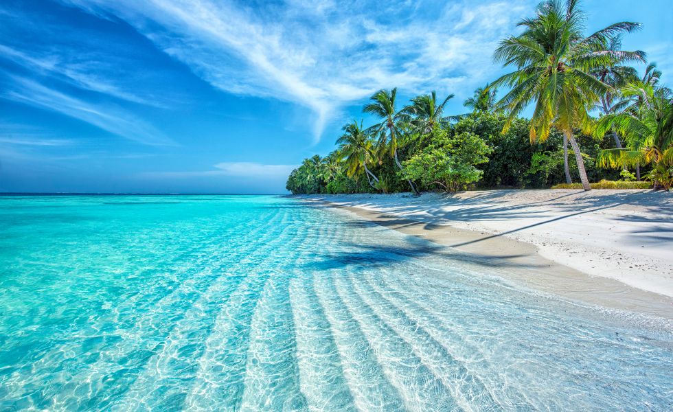 Beach, Maldives
