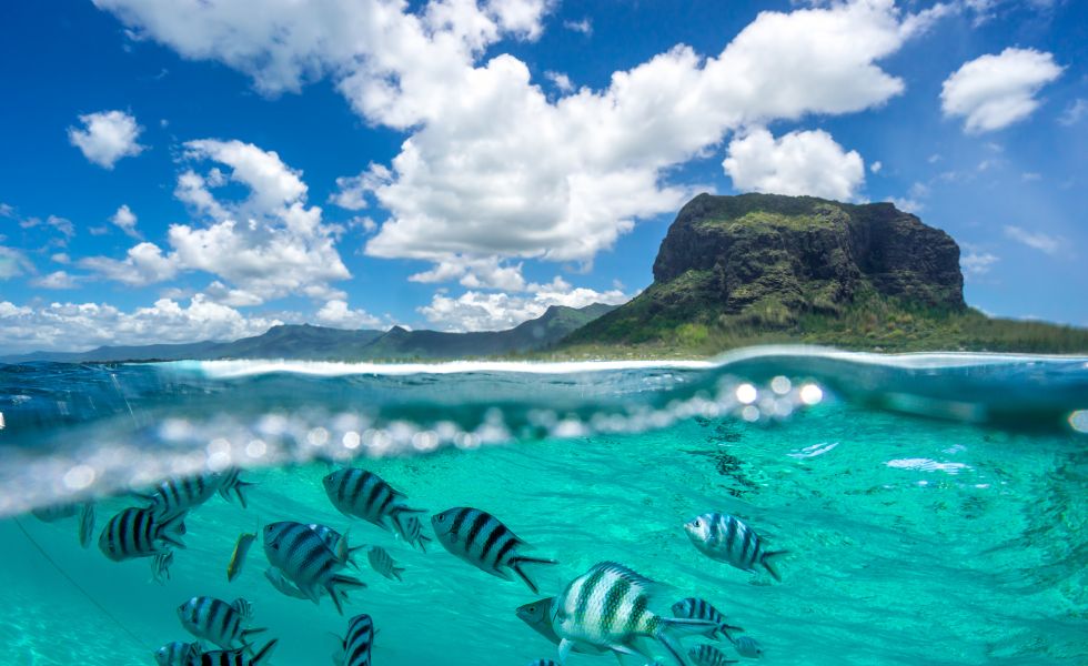 Mauritius, Underwater Ocean