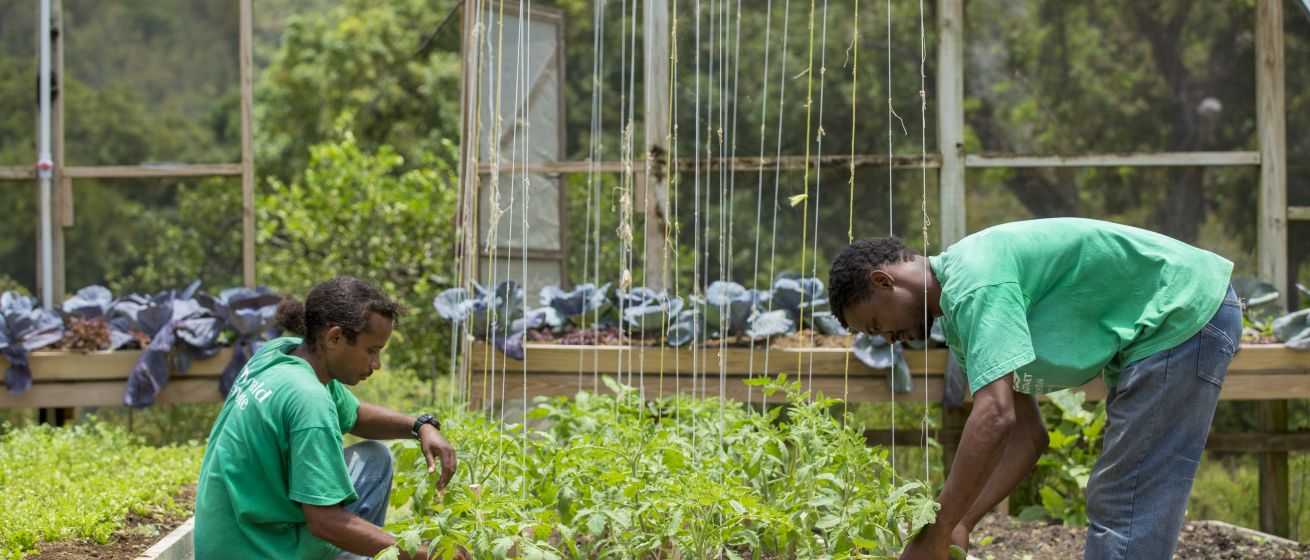 Anse Chastanet Resort_Emerald Farm